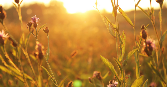 20 Positive Affirmations for a Happier Life